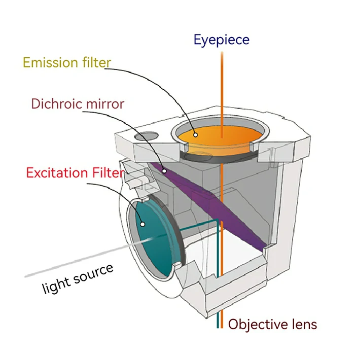 CY5 filter sets